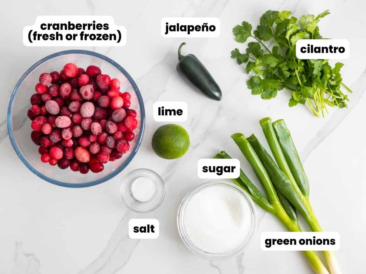 Ingredients for cranberry salsa on a marble counter. There is a bowl of frozen cranberries, a small bowl of salt, a small bowl of sugar, two green onions, 1 lime, 1 jalapeno, and a bunch of cilantro.