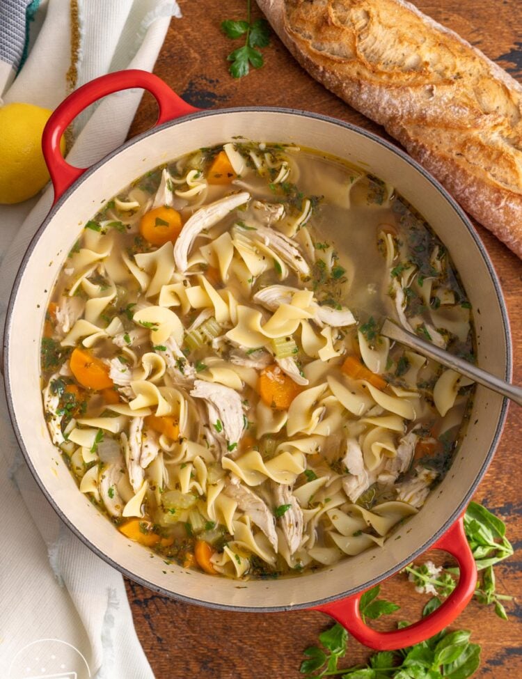 a red handled dutch oven of chicken soup with egg noodles, garnished with parsley, sitting on a wooden board.