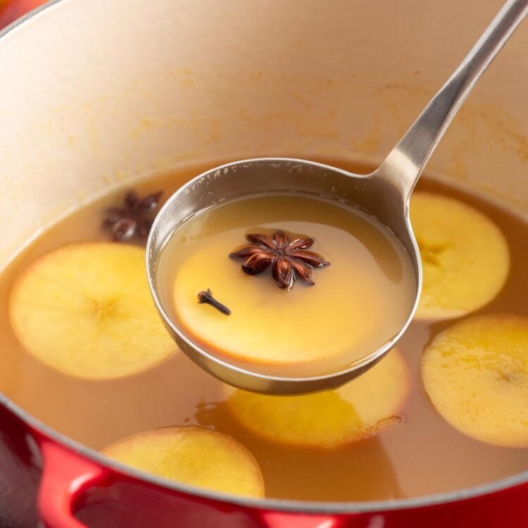 a ladle serving wassail from a red pot, including sliced apples, anise pods, allspice.