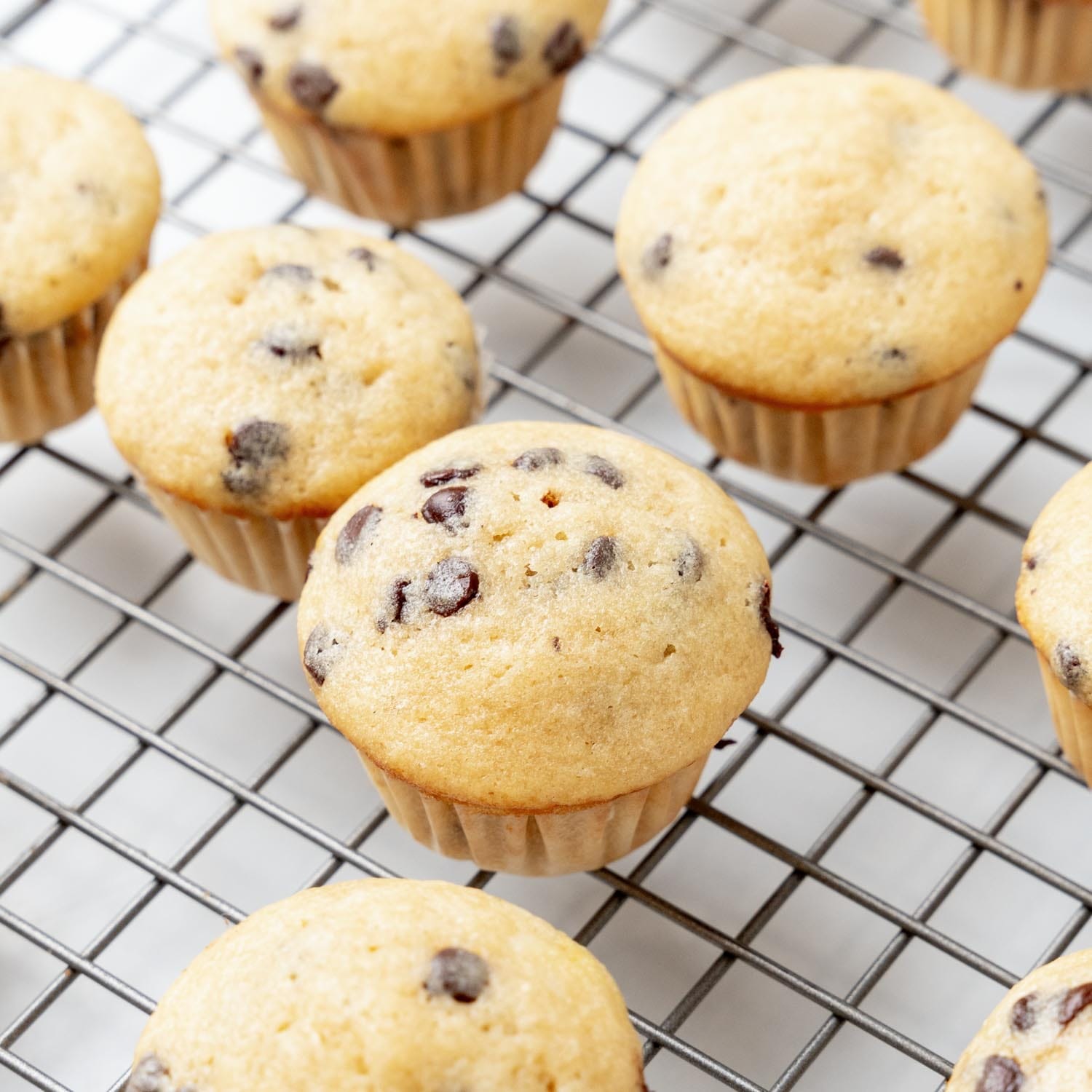 chocolate chip mini muffins in paper liners, on a wire rack to cool.