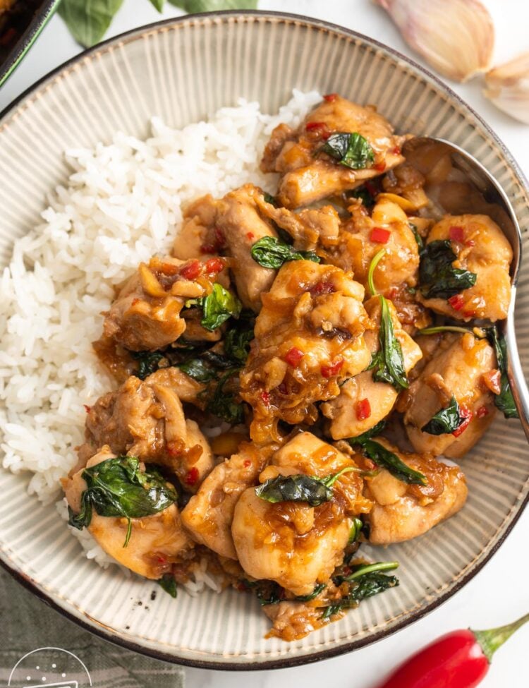 a ceramic bowl of rice topped with thai basil chicken. Around the bowl are chili peppers, garlic cloves and fresh thai basil.