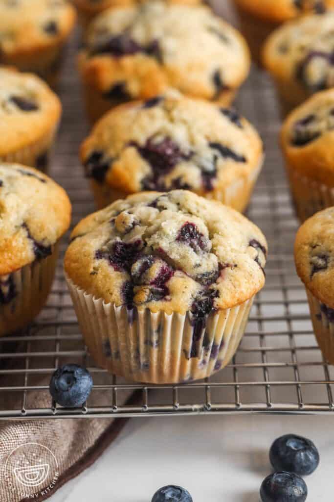 baked blueberry muffins cooling on a wire rack. Fresh berries are on the counter in front of the muffins.