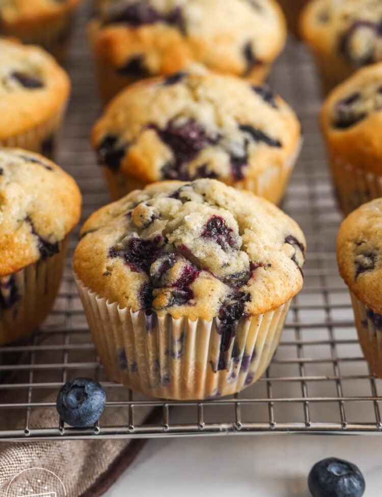 baked blueberry muffins cooling on a wire rack. Fresh berries are on the counter in front of the muffins.