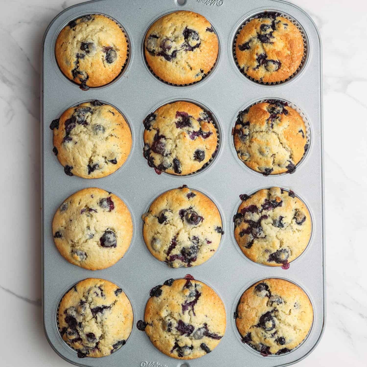 baked blueberry muffins in a metal muffin tin, viewed from overhead
