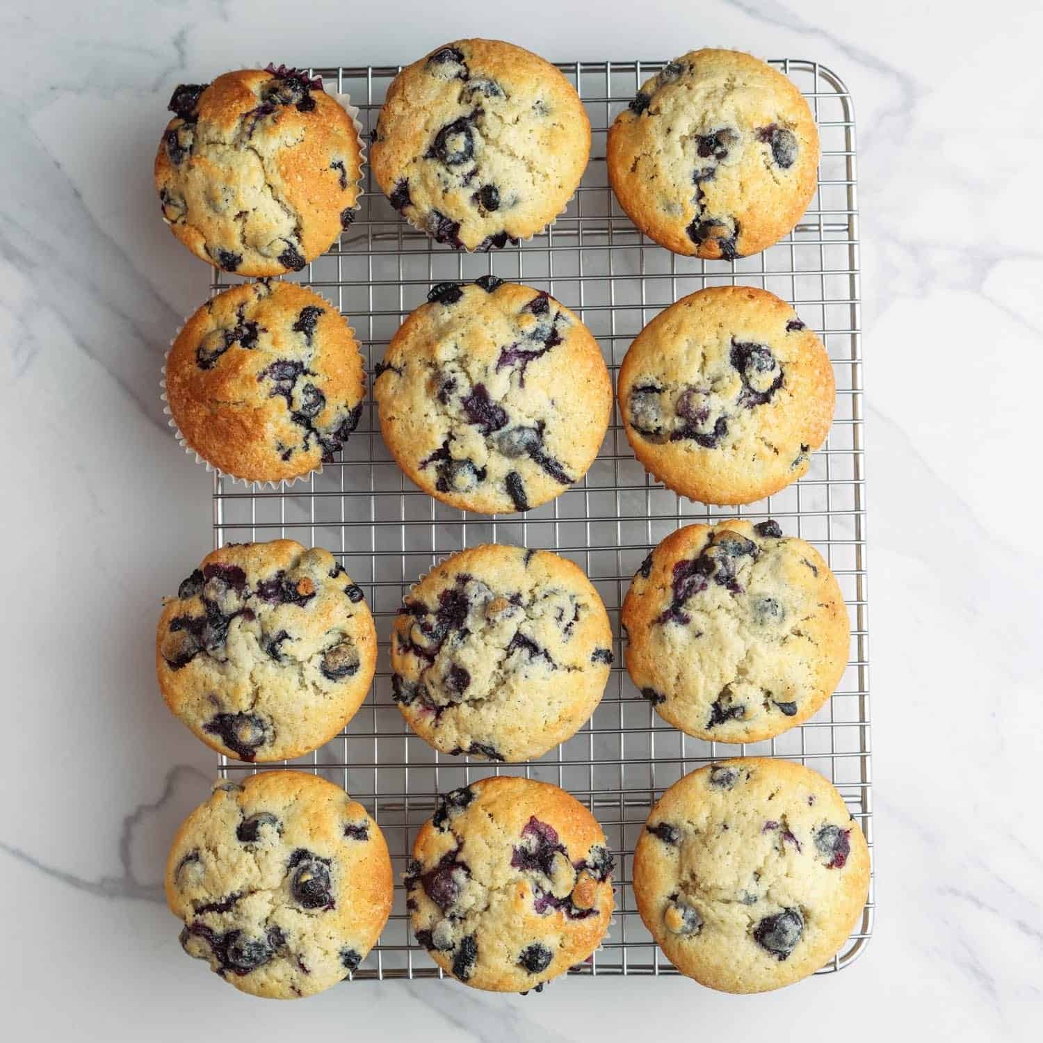 12 baked blueberry muffins on a wire rack.