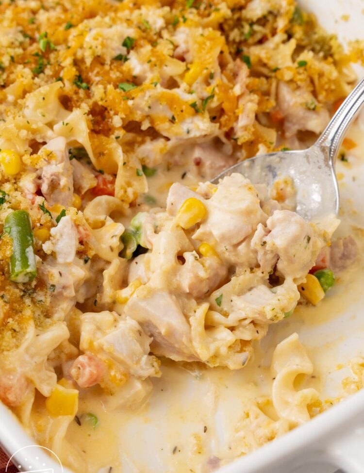 a pan of chicken noodle casserole topped with breadcrumbs. A spoon has removed some servings.