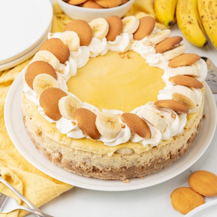 A whole banana pudding cheesecake with vanilla wafer crust and sliced bananas on top, served on a round white platter. behind the cheesecake is a bowl of vanilla wafers and a bunch of ripe bananas.