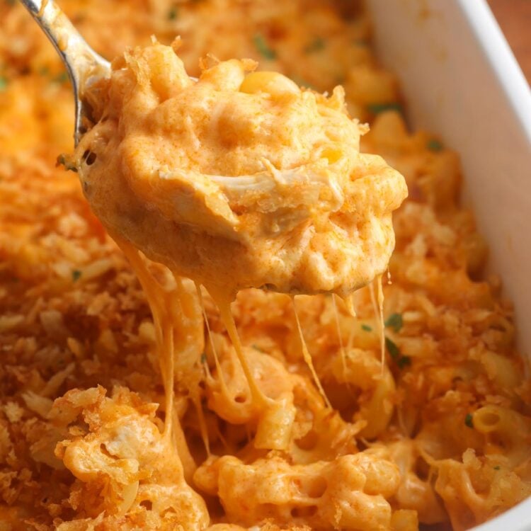 closeup of buffalo chicken mac and cheese. A spoon is lifting a bite from the pan, showing the thick and melty cheese sauce.