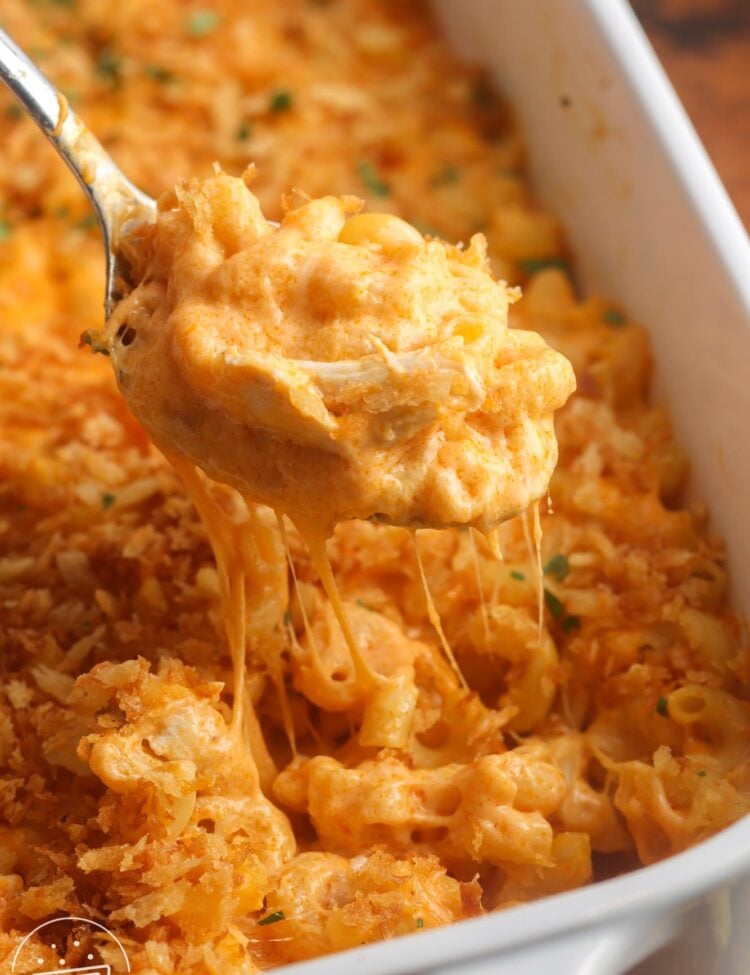 closeup of buffalo chicken mac and cheese. A spoon is lifting a bite from the pan, showing the thick and melty cheese sauce.