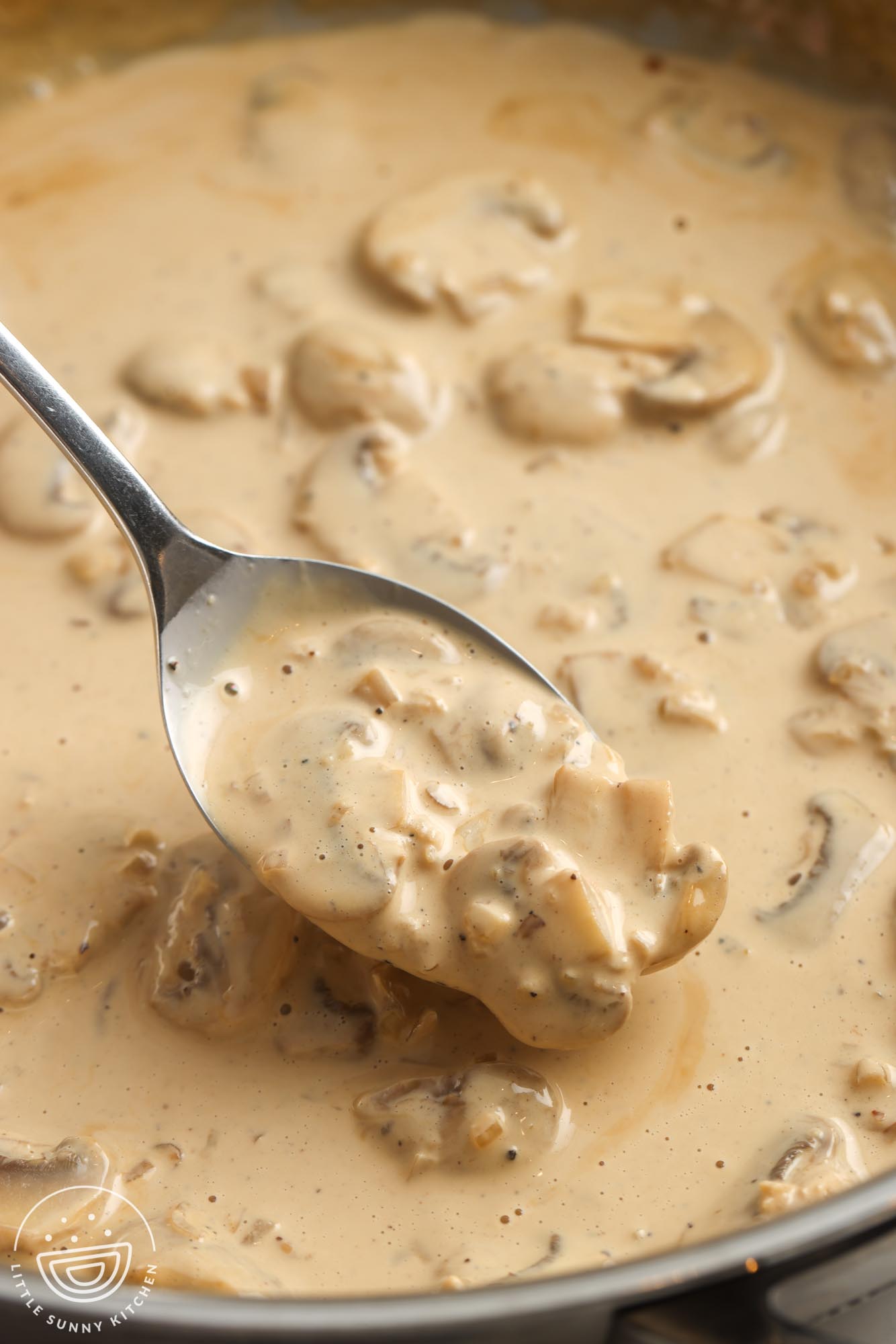 creamy mushroom sauce with shallot and garlic. A close up shot, showing a spoon holding up a serving.