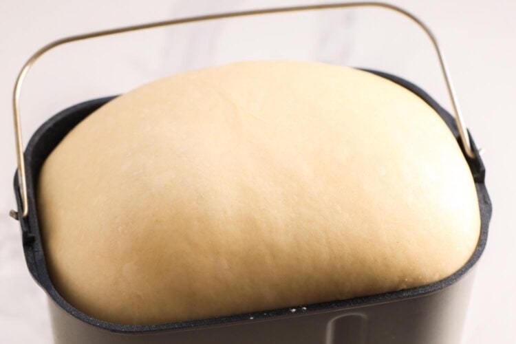 Dough risen above the rim of a bread machine pan.