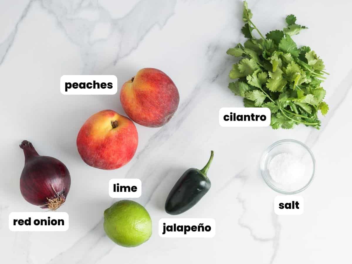 Peaches, red onion, lime, jalapeno, salt, and cilantro on a marble counter; the ingredients for fresh peach salsa.