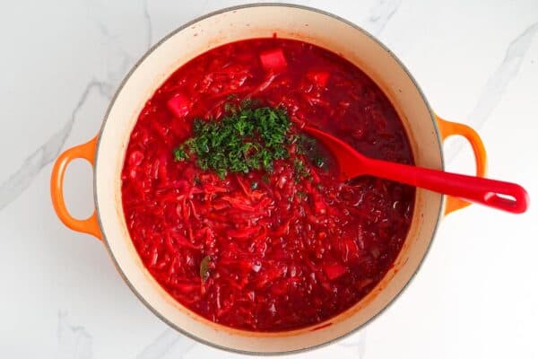 fresh dill added to a pot of borscht soup, stirred in with a red spoon.