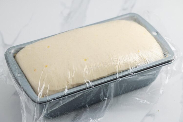 Risen loaf of english muffin bread dough, in a loaf pan, covered with plastic wrap.