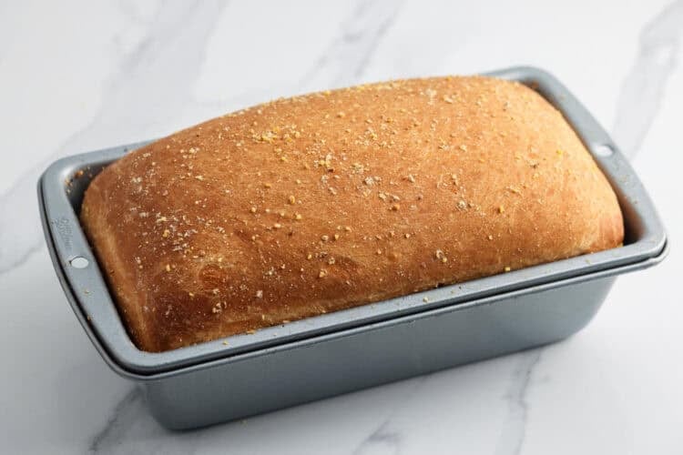 A baked loaf of bread topped with cornmeal, still in the loaf pan.