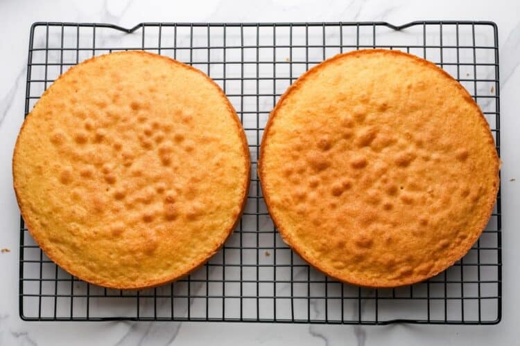 two layers of victoria sponge cake on a metal cooling rack.