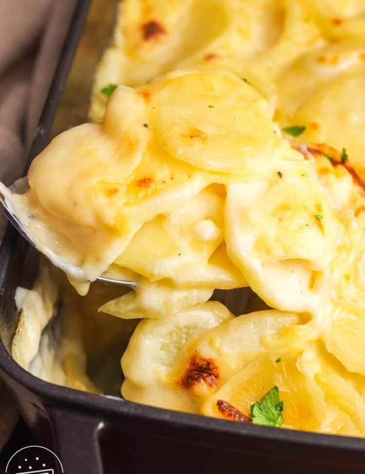 closeup of homemade scalloped potatoes. A spoon is lifting up a serving from the pan.
