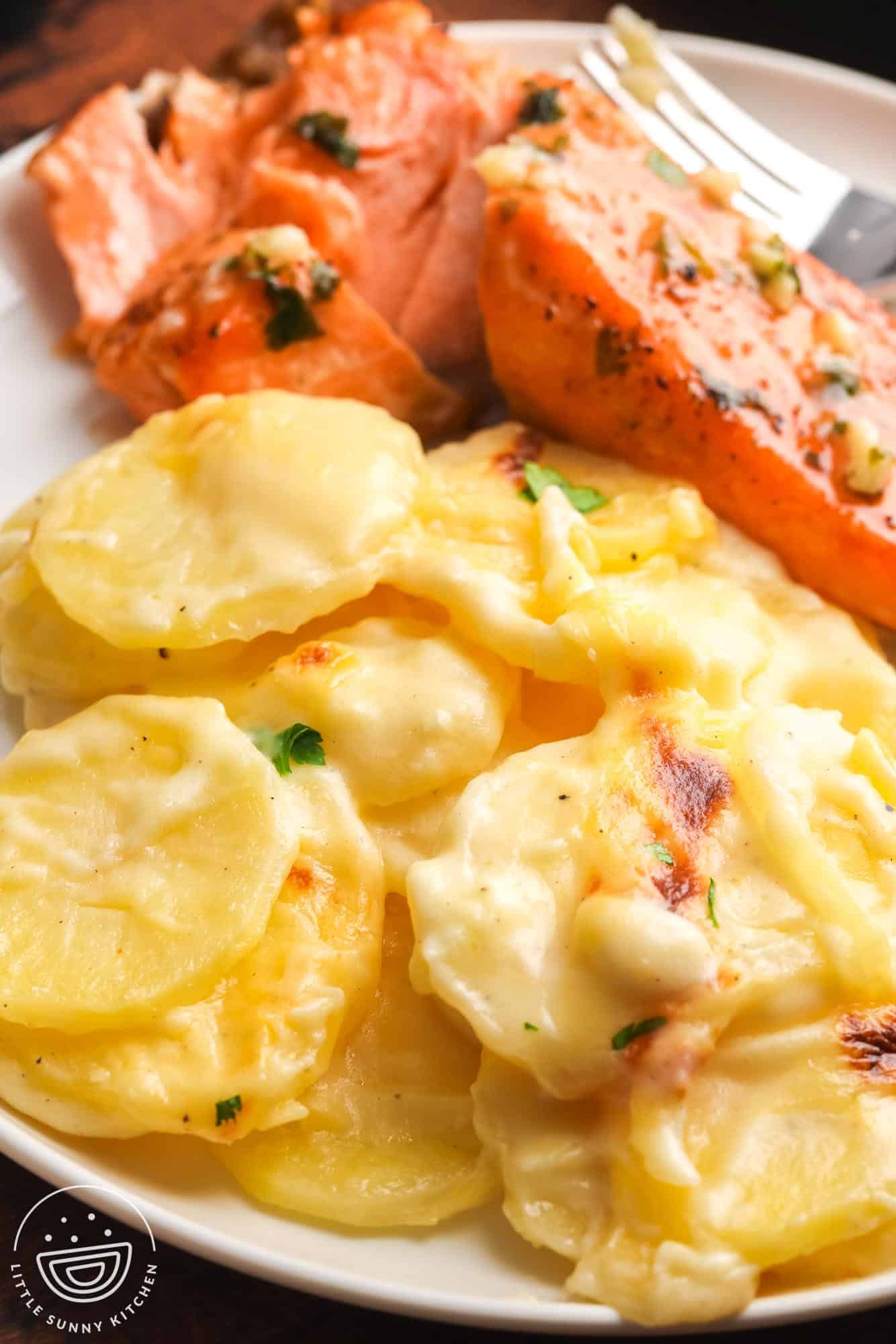 a white plate of salmon with a side of cheesy scalloped potatoes au gratin.