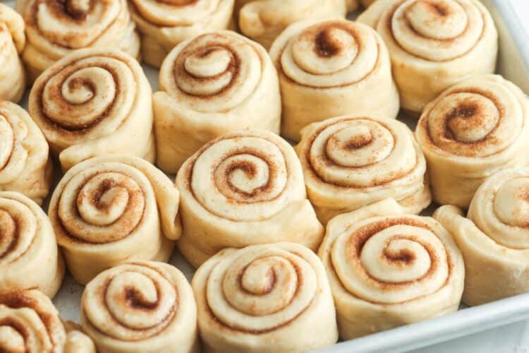 mini cinnamon rolls on a sheet pan after rising for 15 minutes.