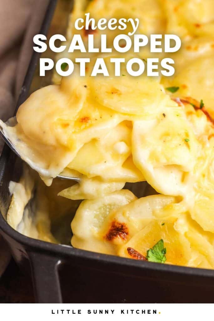 closeup of a pan of sliced, baked, cheesy potatoes. Text overlay says "cheesy scalloped potatoes"