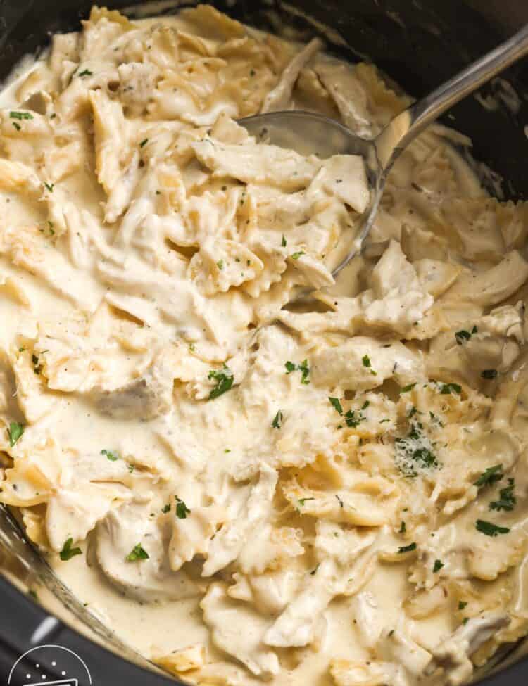 bowtie pasta in alfredo sauce with shredded chicken, in a large slow cooker.