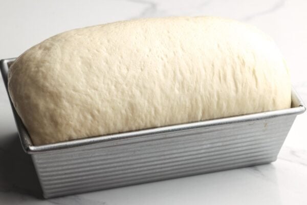bread dough in a loaf pan, risen several inches above the edge of the pan