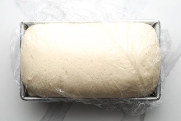 white sandwich bread dough rises in a metal loaf pan. The dough is covered with plastic wrap.