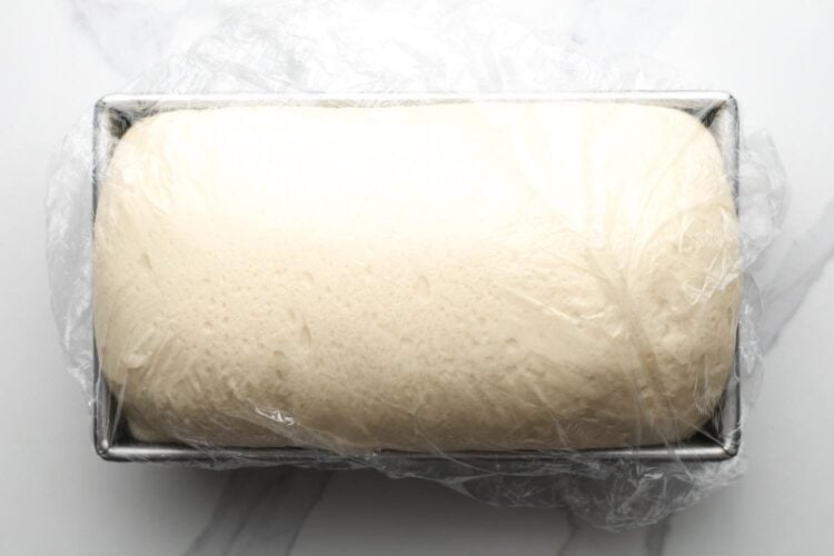 white sandwich bread dough rises in a metal loaf pan. The dough is covered with plastic wrap.
