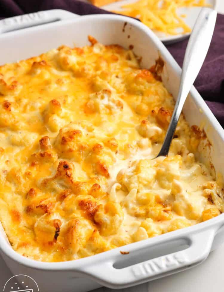 Cauliflower mac and cheese in a white baking dish. A spoon is serving it. In the background is a plate with a chunk of cheddar cheese that has been grated.