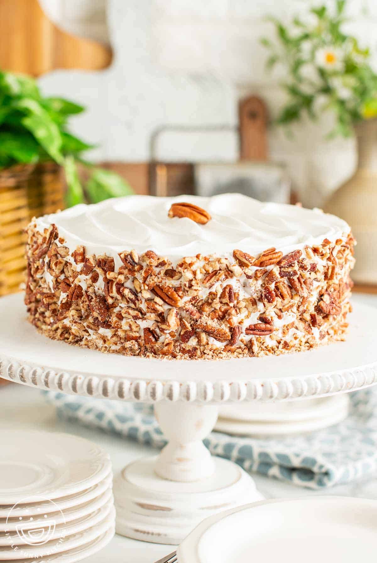 A whole carrot cake cheesecake on a cake pedestal. The cake is frosted with whipped cream with chopped pecans around the outside edge.