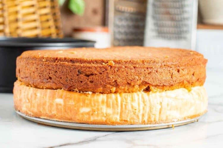 baked carrot cake cheesecake on a counter. the bottom layer is cheesecake, the top layer is carrot cake.