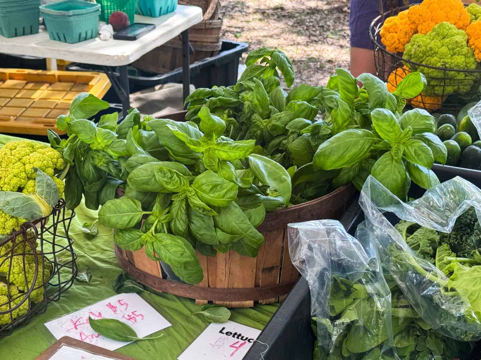 Fresh basil bunches for sale at a summer farmers market