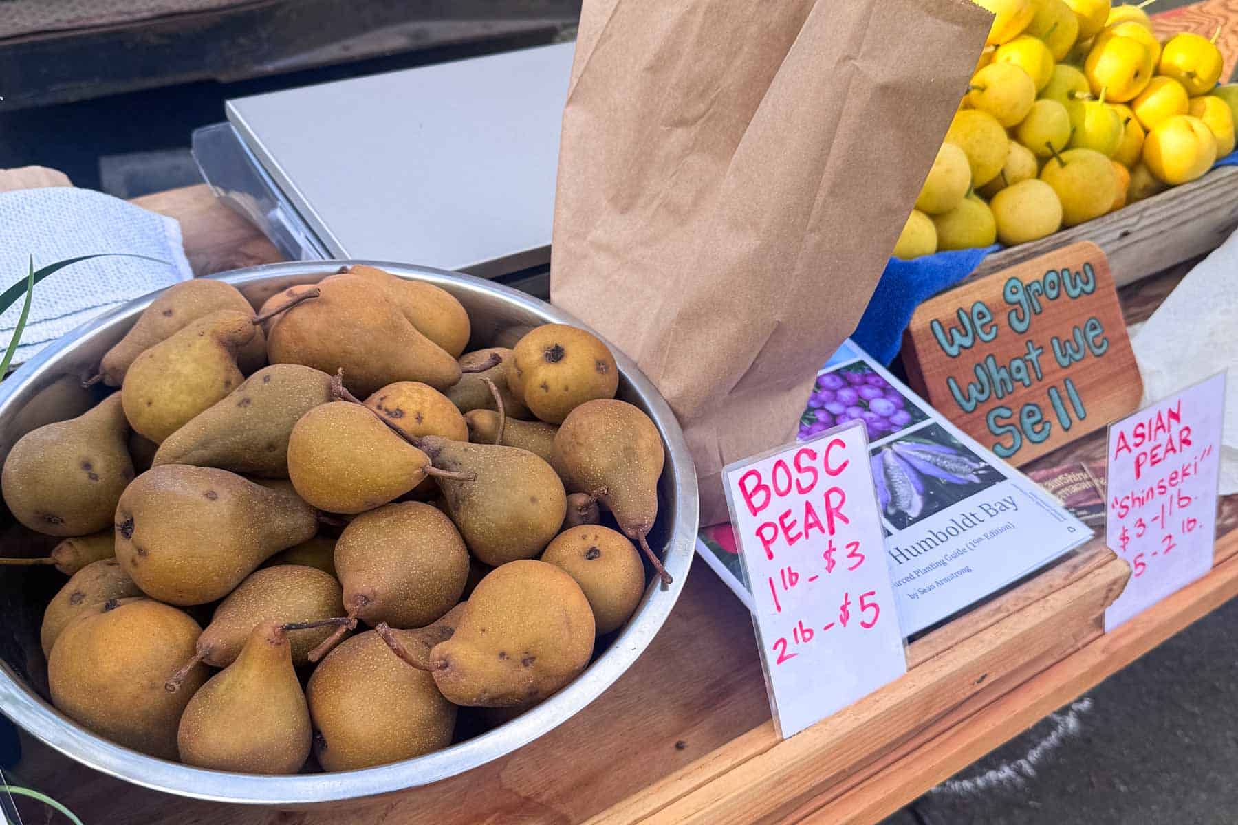 Bosc pears displayed in a metal bowl at a farmers market produce stand.
