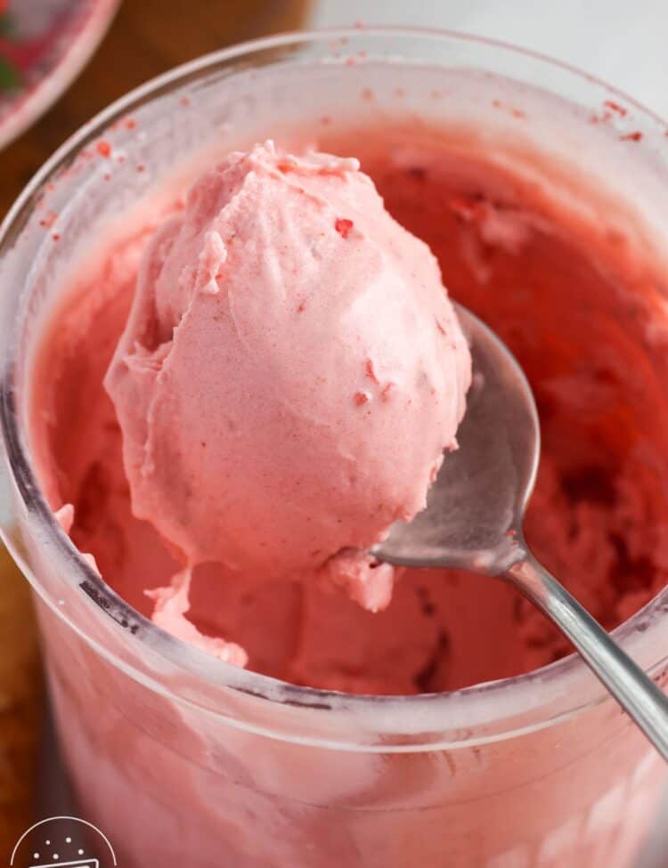 Scoop of homemade strawberry ice cream inside a Ninja Creami pint