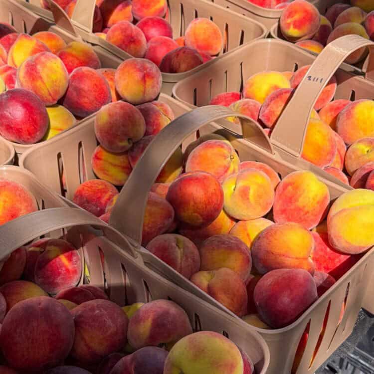 Baskets of ripe summer peaches at a farmers market