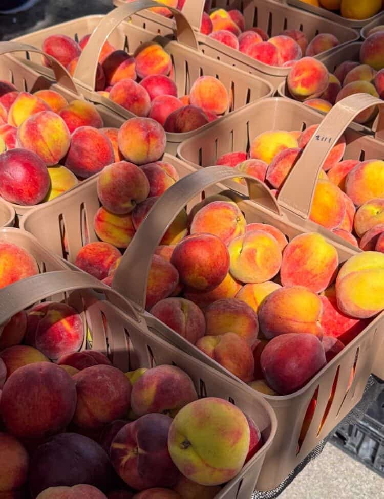 Baskets of ripe summer peaches at a farmers market