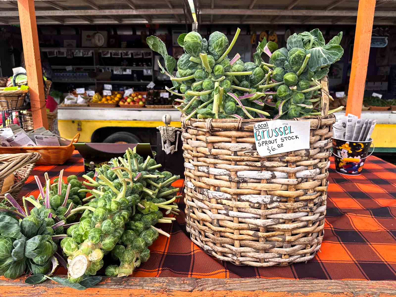Fresh Brussels sprouts on the stalk displayed in a basket at a farmers market.