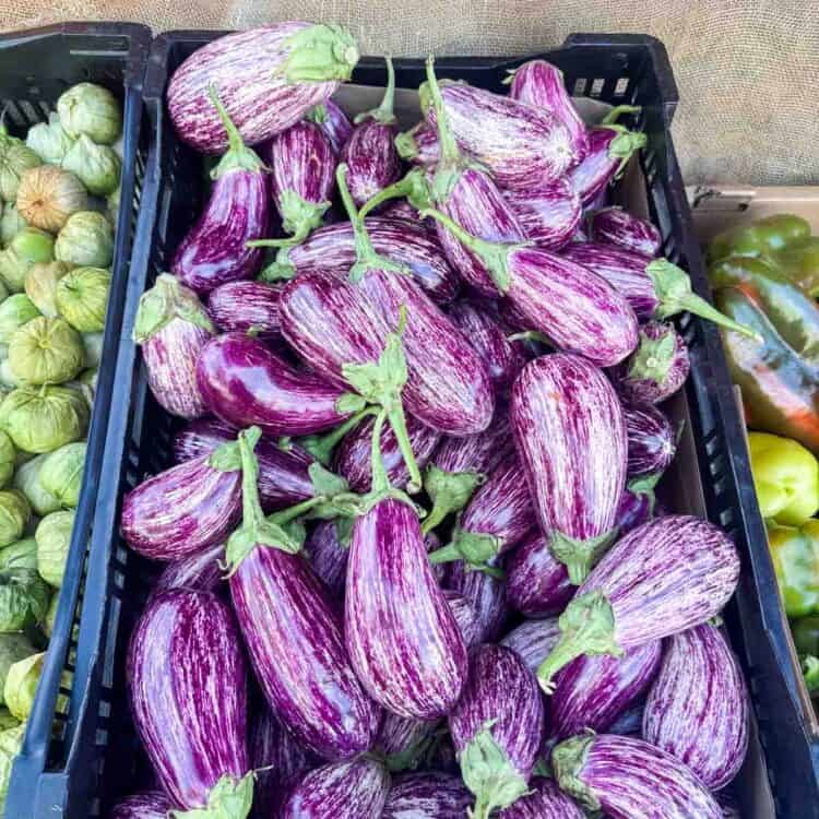 eggplants at farmer's market