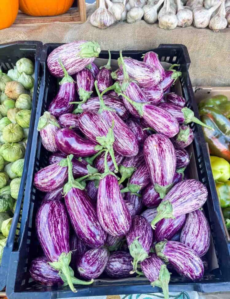 eggplants at farmer's market