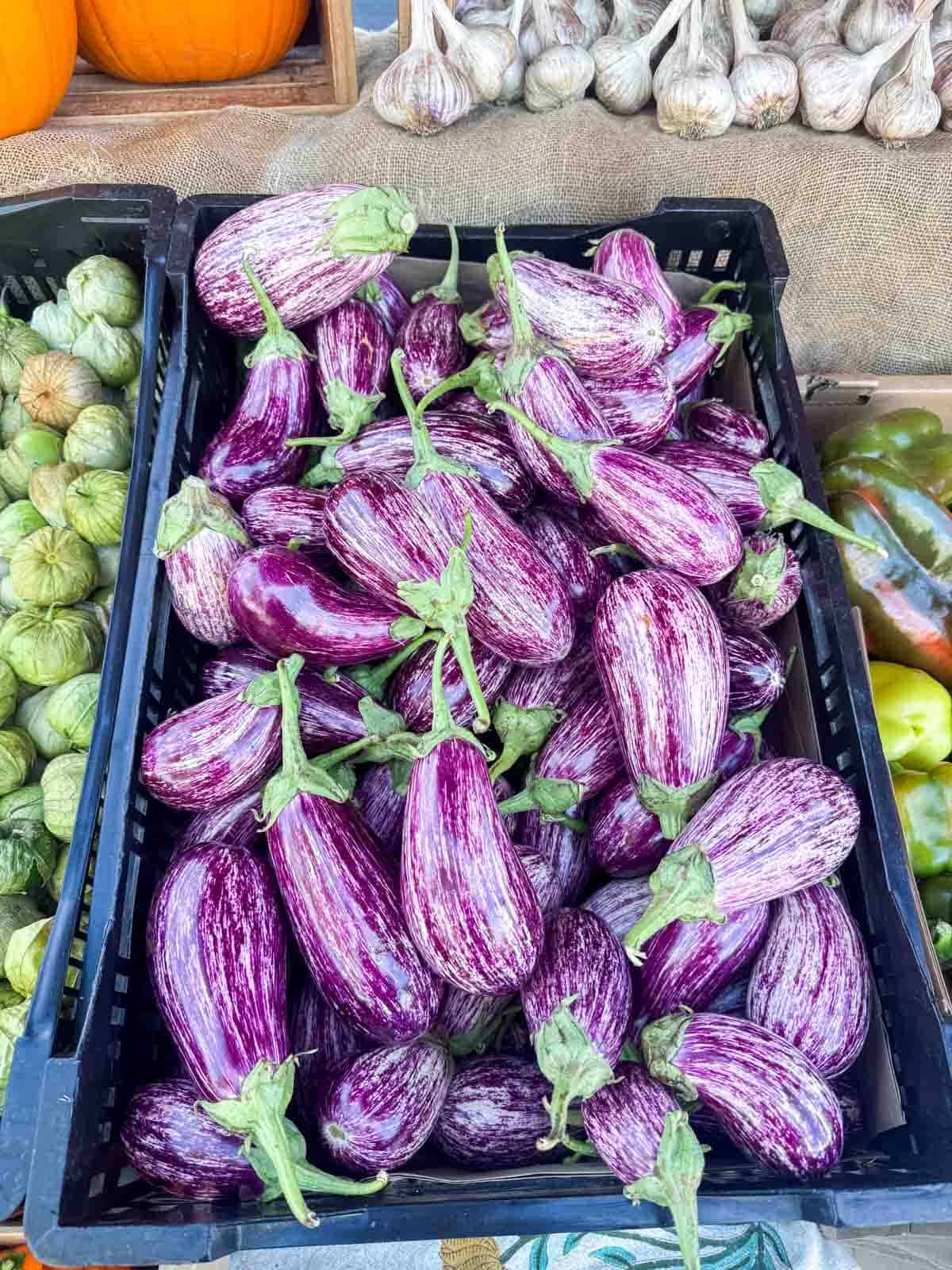 eggplants at farmer's market