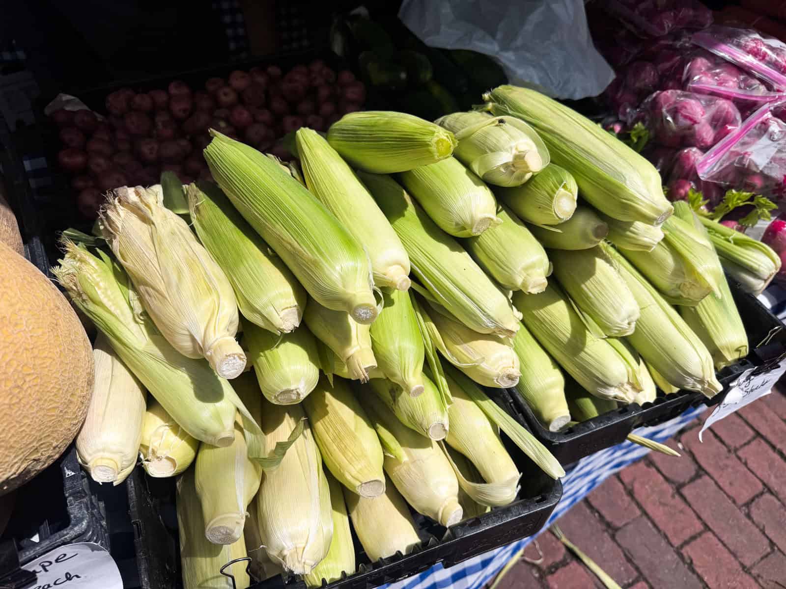 Corn on the cob layered for display in a farmer's market in Charleston