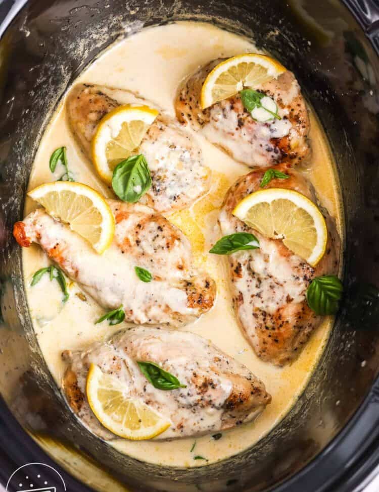 slow cooker lemon chicken in a creamy sauce, garnished with fresh basil.