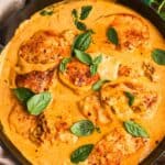 Overhead view of chicken cutlets simmered in creamy pumpkin Parmesan sauce and topped with fresh basil.
