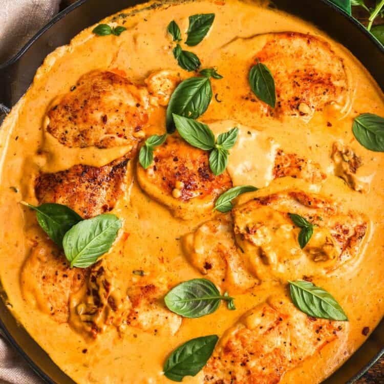 Overhead view of chicken cutlets simmered in creamy pumpkin Parmesan sauce and topped with fresh basil.