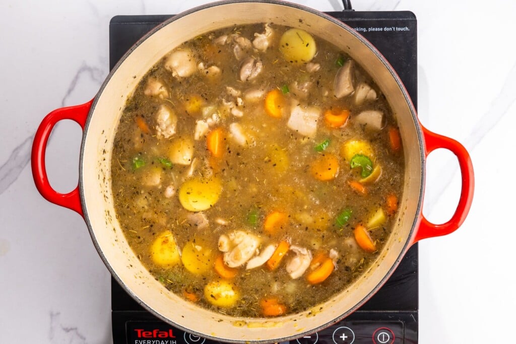 Chicken stew with vegetables simmering in a dutch oven.