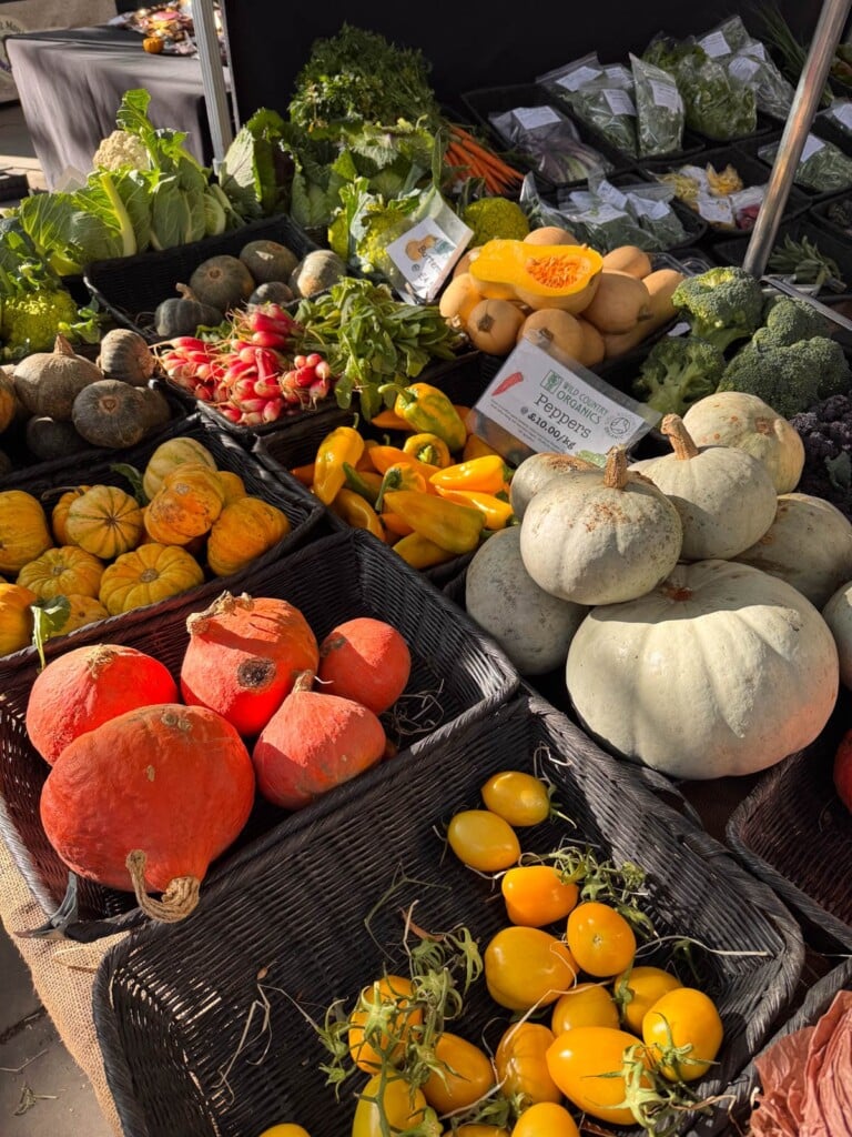 Pumpkins and winter squash with broccoli, peppers, and yellow tomatoes at a farmers market stall.