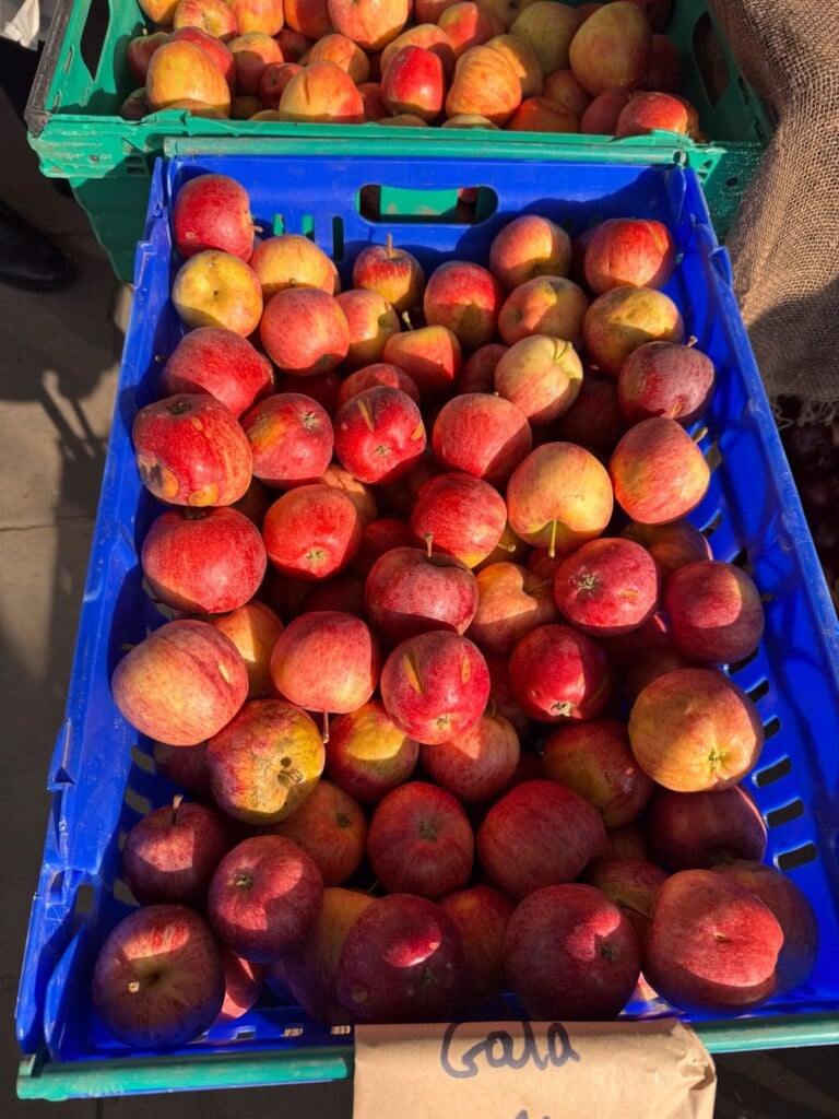 Crates of red Gala apples at a farmers market.