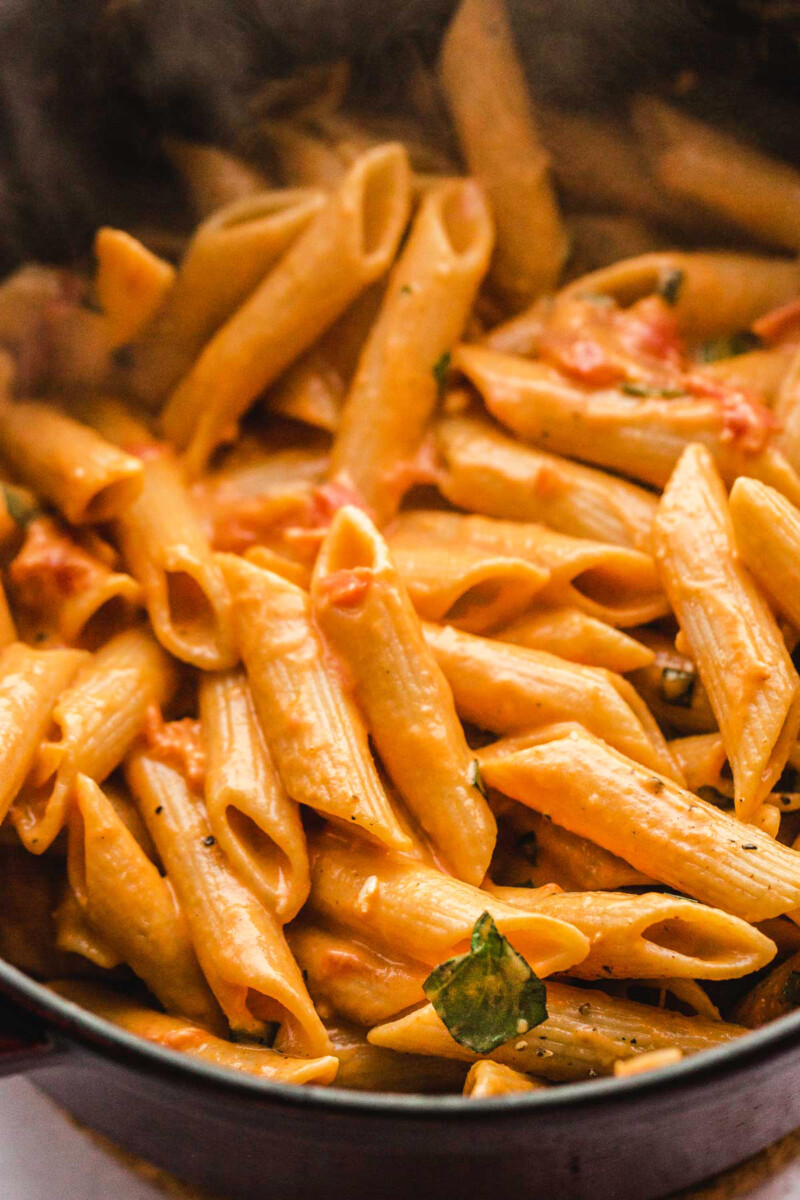 Creamy Tomato Pasta Little Sunny Kitchen