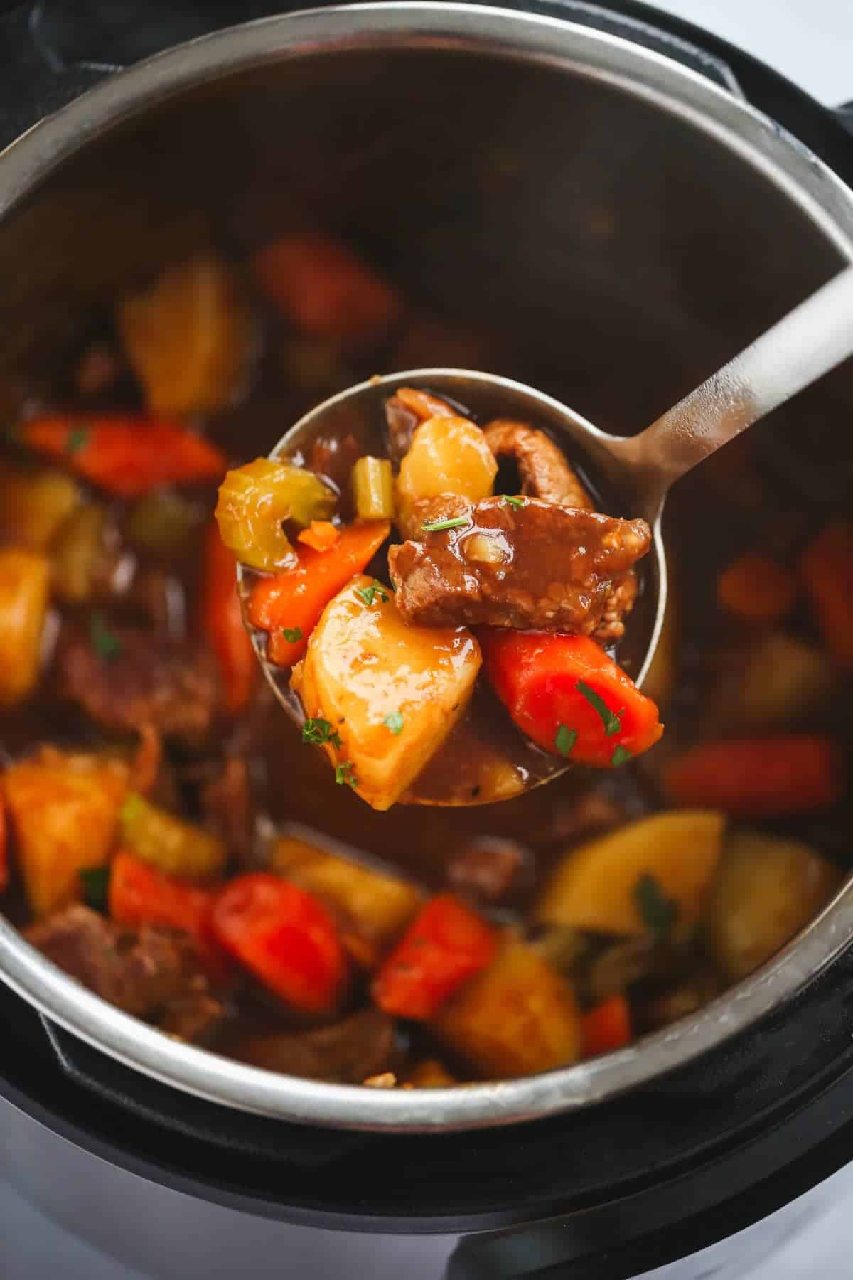 A ladle with instant pot beef stew
