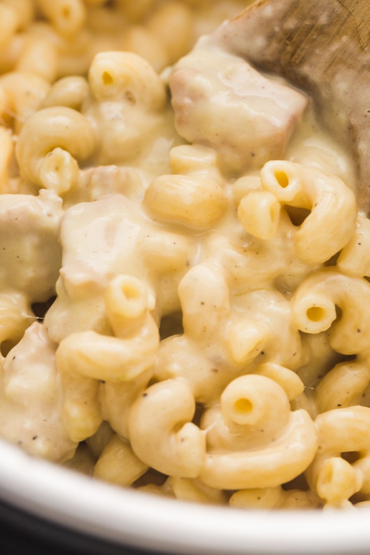 Instant Pot Chicken Mac and Cheese Little Sunny Kitchen